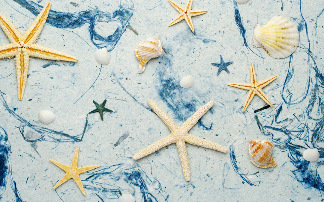 有微笑的抚慰，也有泪水的滋润