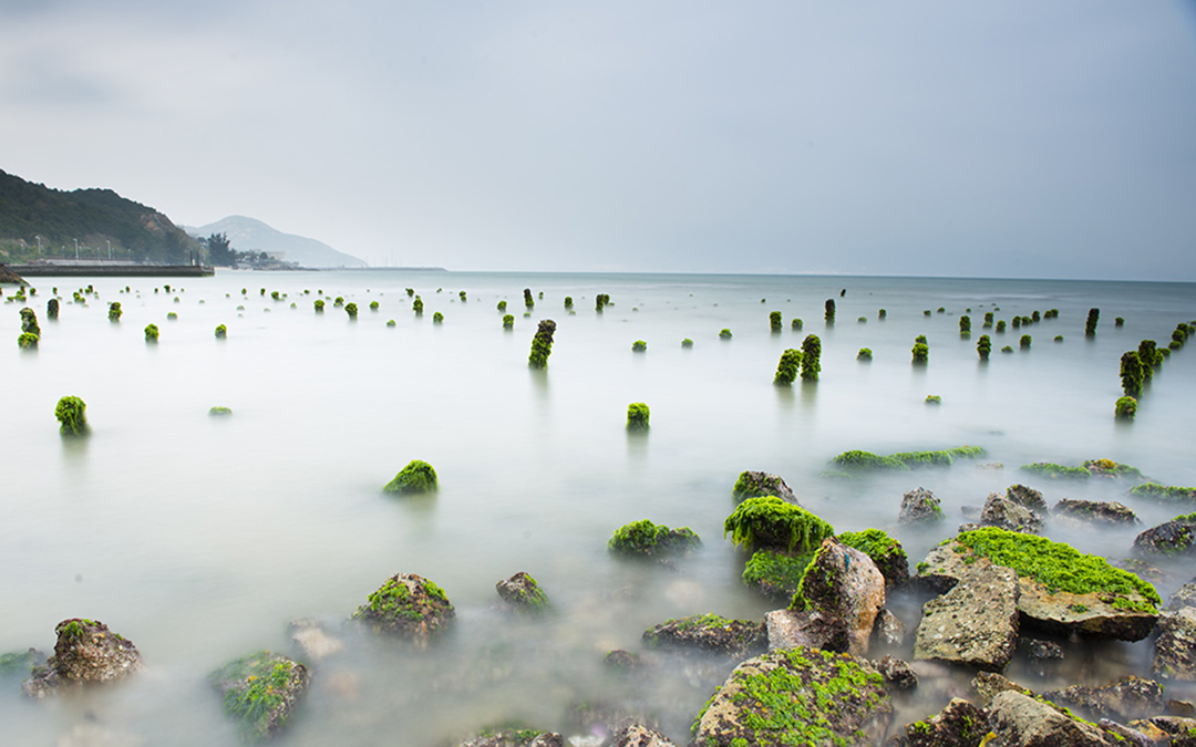 每一天都开始犯困，这就是春天
