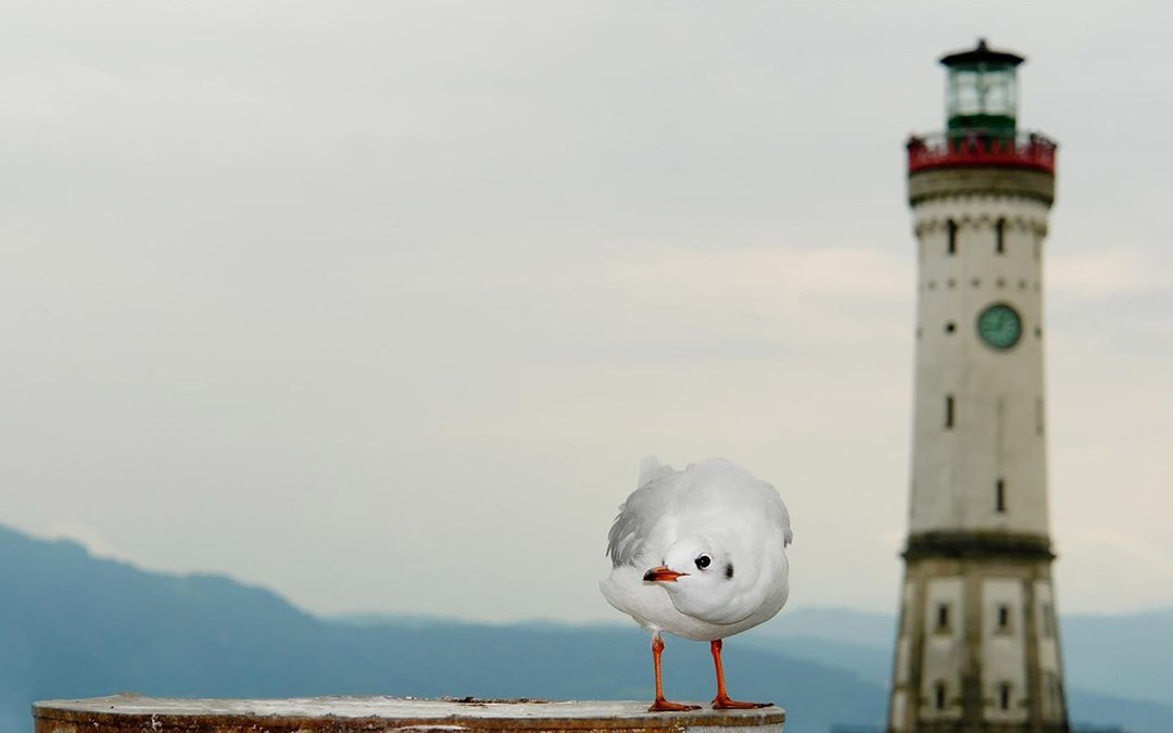 世界上唯一不变的，就是一切都在变