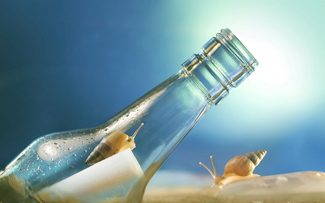 不争，也有属于你的世界