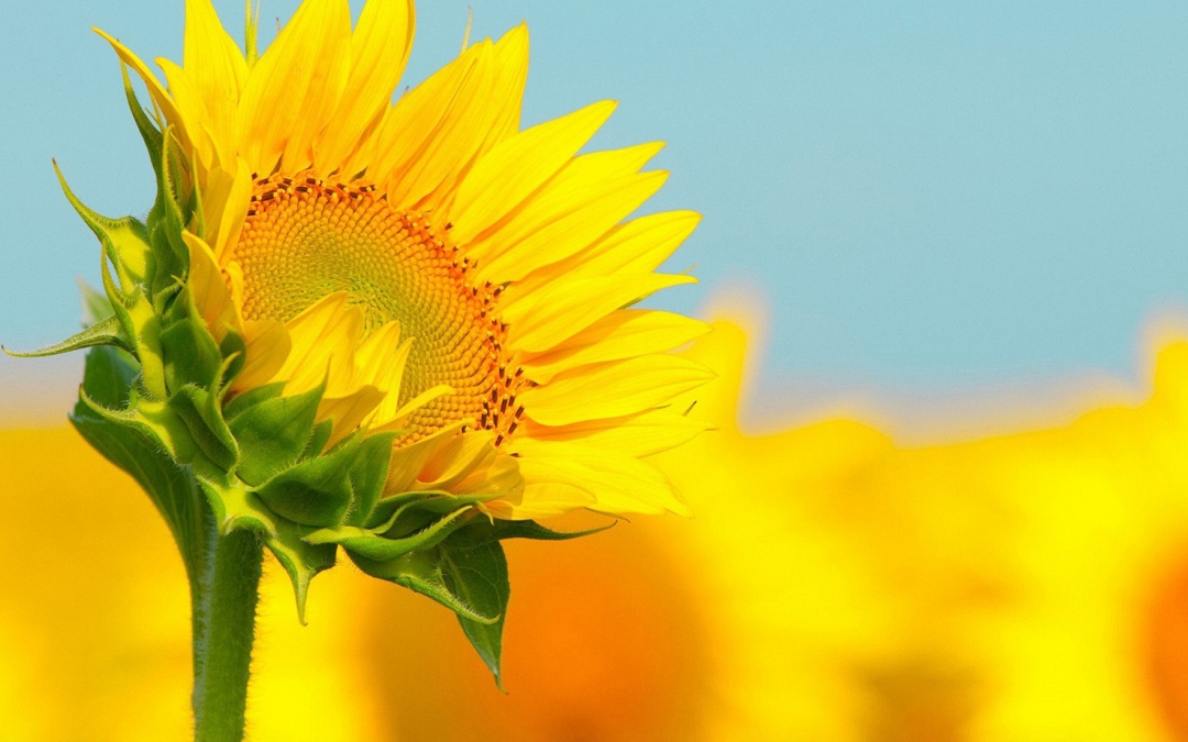 请背负着误会，深情的活着