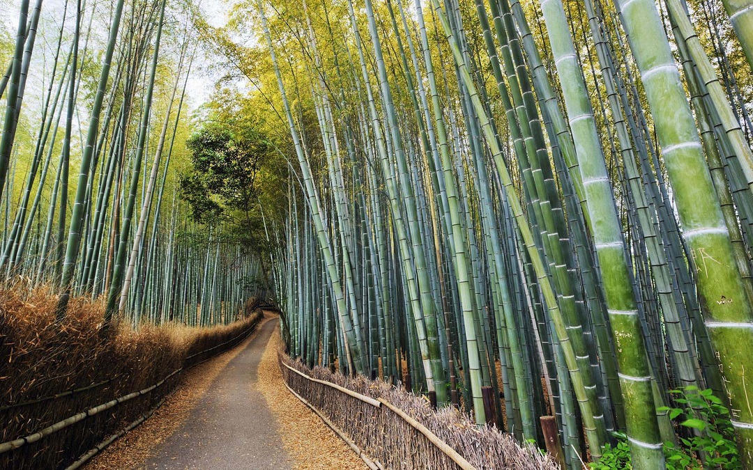 这世界上没有一种工作是不委屈的