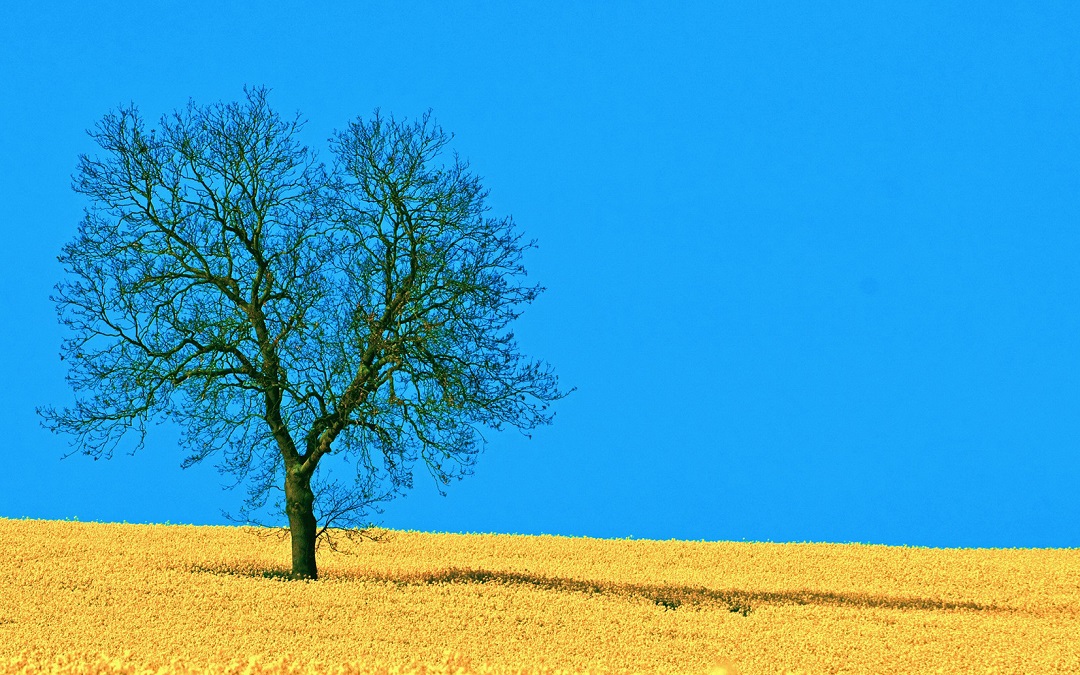 每个人都有一个世界，安静而孤独