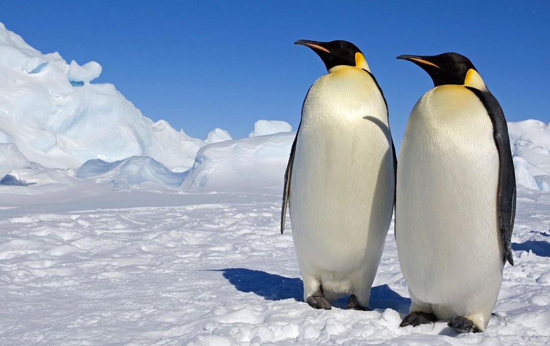 我不敢和你对视，怕每个表情都是表白